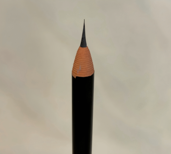 24pcs 2mm Thin Small Tip Pre Draw Brow Mapping Pencil Ultra-Fine Small Tip Hair Stroke Microblading Pmu Eyebrow Pencil(2 boxes 24pcs)