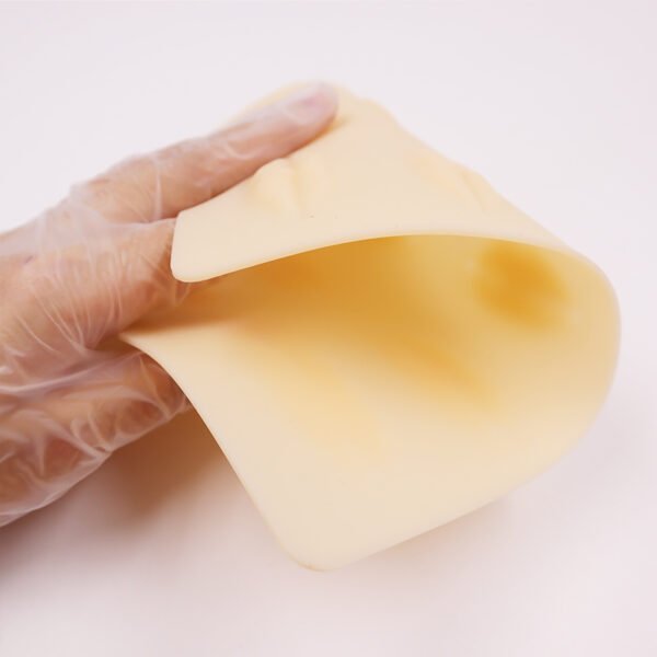 10Pcs Pmu Lip Permanent Makeup Practice Skin