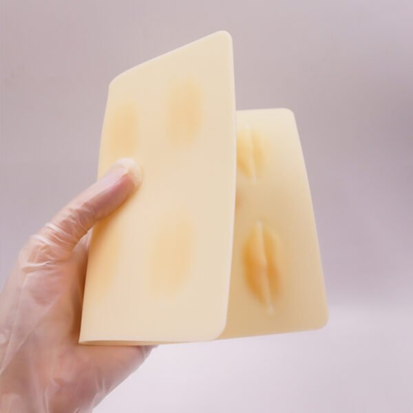 10Pcs Pmu Lip Permanent Makeup Practice Skin