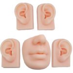 5Pcs 5D Realistic Silicone Mouth Ear Model for PMU Teaching,Piercing,Displaying Earphones, Jewelry