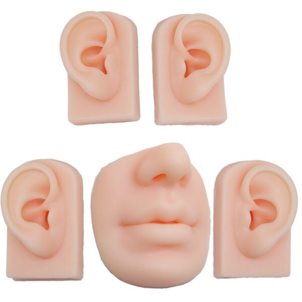 5Pcs 5D Realistic Silicone Mouth Ear Model for PMU Teaching,Piercing,Displaying Earphones, Jewelry