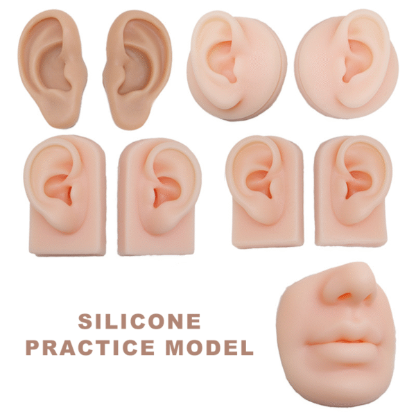 5Pcs 5D Realistic Silicone Mouth Ear Model for PMU Teaching,Piercing,Displaying Earphones, Jewelry