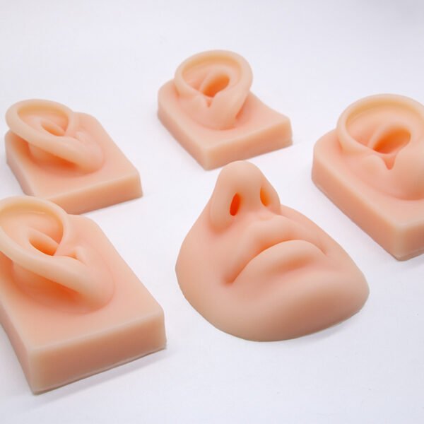 5Pcs 5D Realistic Silicone Mouth Ear Model for PMU Teaching,Piercing,Displaying Earphones, Jewelry