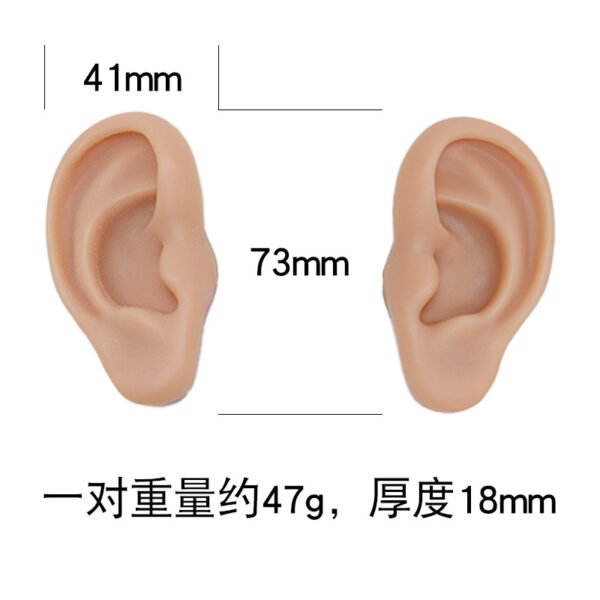 5Pcs 5D Realistic Silicone Mouth Ear Model for PMU Teaching,Piercing,Displaying Earphones, Jewelry