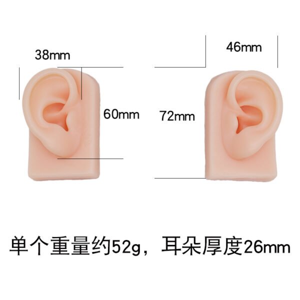 5Pcs 5D Realistic Silicone Mouth Ear Model for PMU Teaching,Piercing,Displaying Earphones, Jewelry