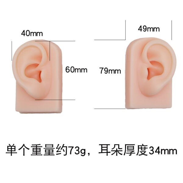 5Pcs 5D Realistic Silicone Mouth Ear Model for PMU Teaching,Piercing,Displaying Earphones, Jewelry